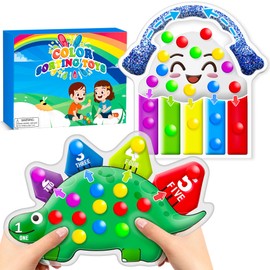 Color Sorting Sensory Toys for Toddlers 1-3 Fine Motor Skill Toys for Toddlers Preschool Game Travel Quiet Montessori Toys Autism Fidget Toys for Kid