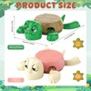 Pack of 2 Turtle Coasters, Funny Turtle Coasters, 3D Printed