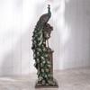 Veronese Design 13 5/8 Inch Peacock Perching On Column Vase