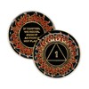 1 Year Sobriety Coin | Flames AA Chip Medallion Recovery