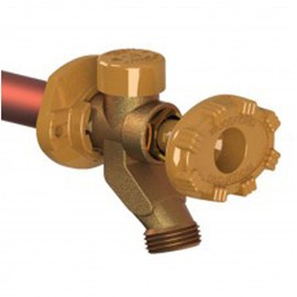 Woodford 19C-12 Model 19 Wall Faucet, 12-Inch, C Inlet