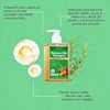 Champú Batana con Romero 100mL - Fortalece Raíces, Controla Aceite
