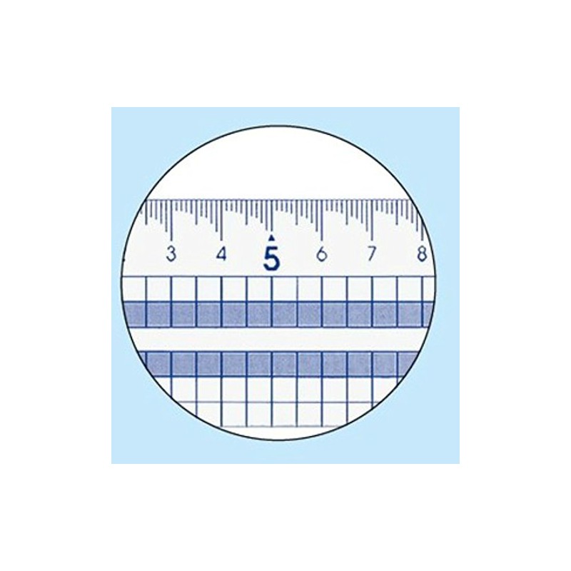 Kokuyo CL-RG30 Square Straight Ruler Scale Size 11.8 inches (30