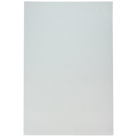 School Smart Folding Bristol Tagboard, 12 x 18 Inches, White, Pack of 100