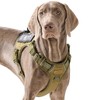 AUNZO Dog Harness with Handle Tactical Dog Harness for Large