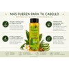 Shampoo Botánico para Todo Tipo de Cabello 400 ml (Fino)