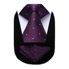 HISDERN Purple Ties for Men Plaid Polka Dots Tie with Pocket Square Set Formal Mens Checkered Ties Handkerchiefs Gingham Silk Neckties for Wedding