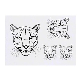 4 x 'Florida Panther' Temporary Tattoos - Water Resistant, Skin-Safe, Non-Toxic Transfers, Mixed Sizes (TO00075118)