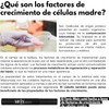 Tonic Mein x MLashes, serum para hacer crecer las pestañas