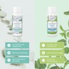 Dresdner Essenz Sauna Infusion Eucalyptus Menthol + Japanese Mint |