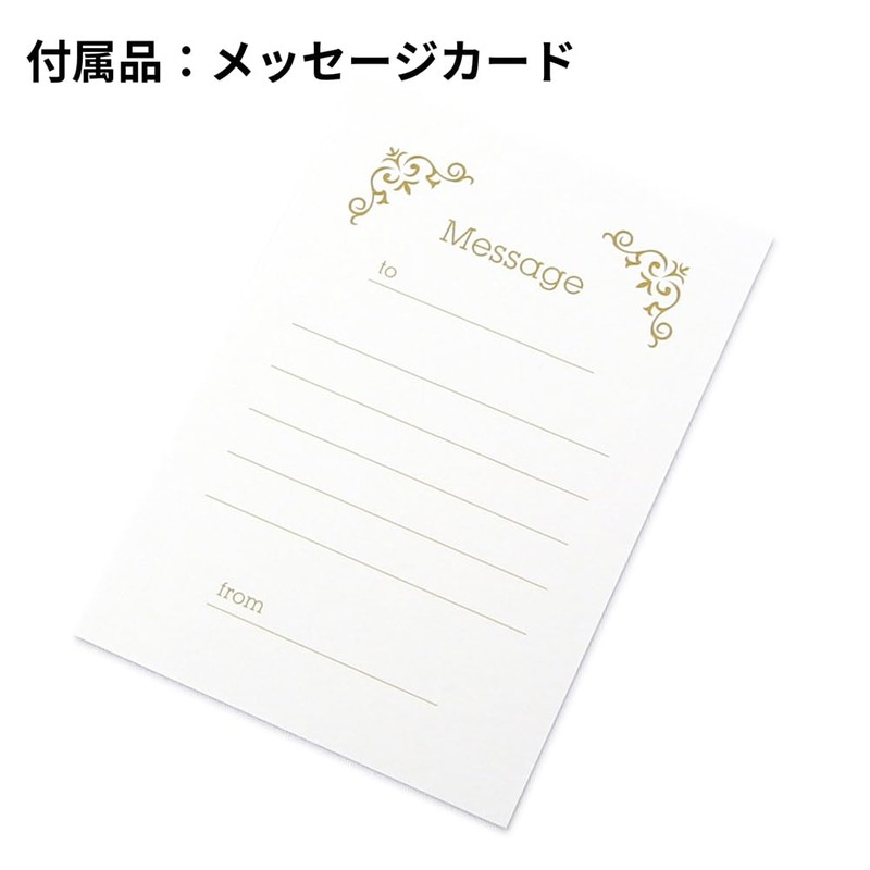 山田屋台紙店 無地表紙 写真台紙 Lサイズ（89×127ｍｍ） 2面タテ （封筒付き・メッセージカード：ツタ） (レッド)