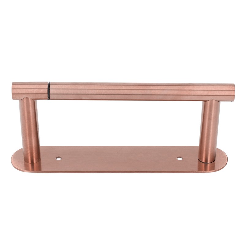 Toilet Paper Holder Multifunctional Rustproof 304 Stainless Steel Wall Mount