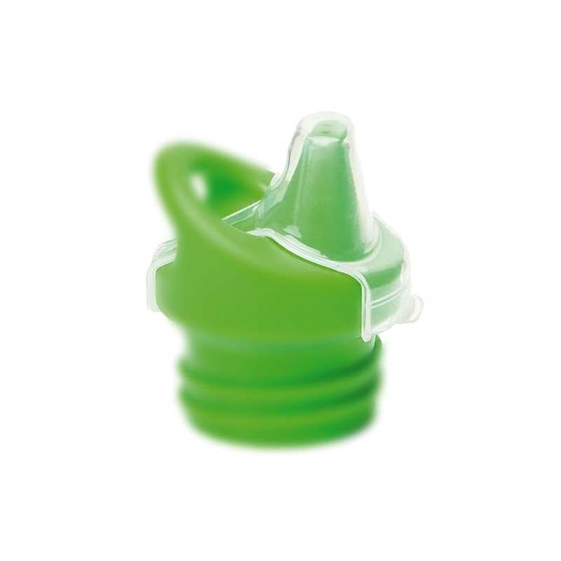 KleanKanteen Unisex - Adult Bottle_1002402, Transparent/Clear, One Size