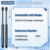 Rear Liftgate Hatch Lift Supports Struts Compatible with Dodge Challenger