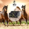Wild Horses | Salviette Detergenti per Cavalli, Ideali per Lucidare,