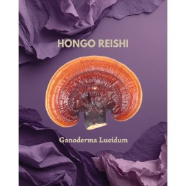 Extracto Hongo Reishi Ultra Concentrado 30ml                                                                                                          
