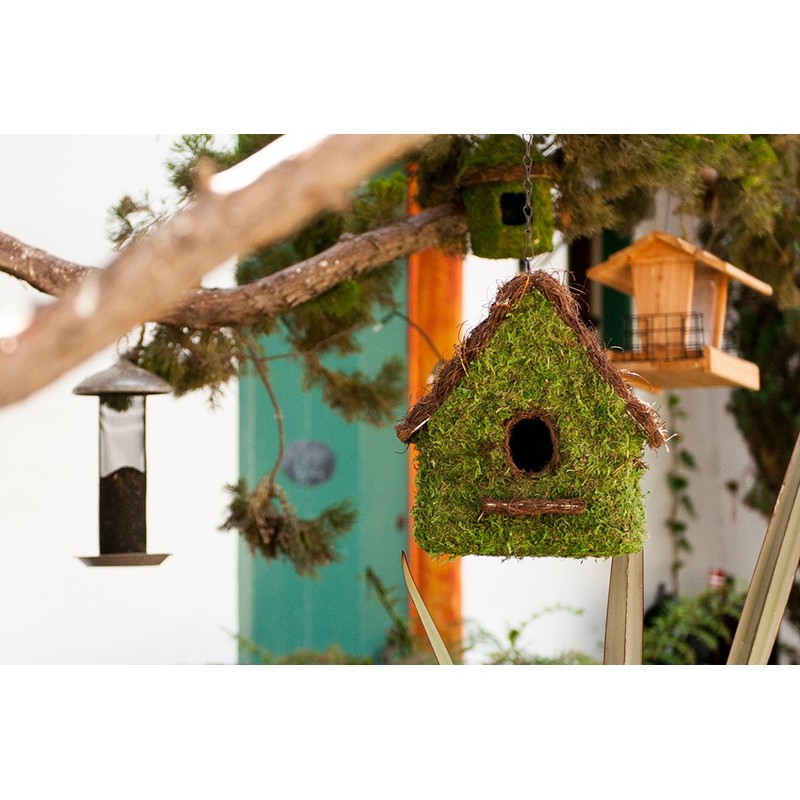 SuperMoss (56012) Maison Birdhouse with Chain, 11 by 12-Inch, Fresh