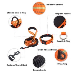 Reflective Dog Collar Leash Set, Adjustable Nylon Neoprene Padded Dog Collar, Shock Absorbing Bungee Dog Leash Pet Training Walking Leash for Small Medium Large Dogs