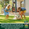 Medina HastaGro Liquid Lawn Fertilizer - 12-4-8 Liquid Fertilizer for