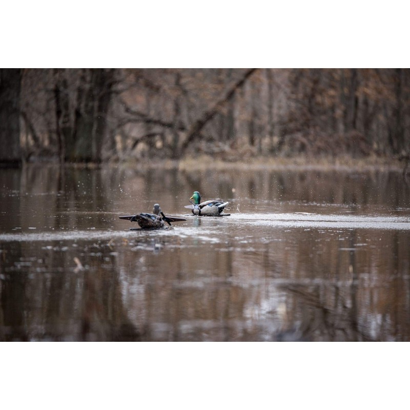 Lucky Duck - Lucky Splasher