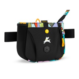 OllyDog Backcountry Day Bag | Hands-Free Dog Training Treat Pouch | Fanny/Hip Pack with Zipper Closure & Built-in Poop Bag Dispenser | Removable Waist Clip (Cloud9)