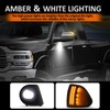 D-Lumina LED Side Mirror Turn Signal Puddle Lights Kit Driver