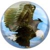 Rhode Island Novelty 80 mm Dome Paperweight Eagle