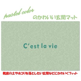 speed mao Pastel Color Entrance Mat Outdoor Indoor Mud Removal Loop Mat Cute (Mint)