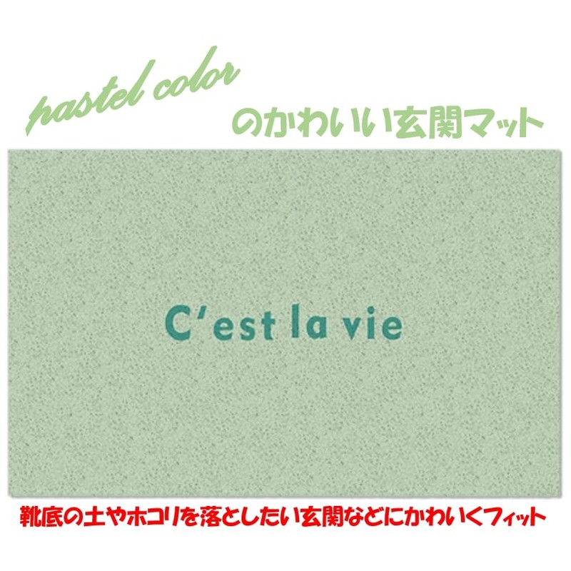 speed mao Pastel Color Entrance Mat Outdoor Indoor Mud Removal