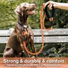Unbranded Dog Leash 5/6 FT with Comfortable Padded Handle and
