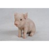 All Line Dark Brown Sitting Baby Pig, 6"