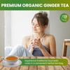 The Natural Health Market, Organic Ginger Tea Bags - 100