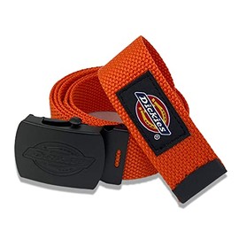 Dickies Nylon GI Belt (Orange), orange