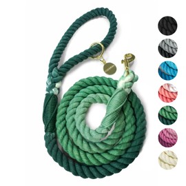 DJANGO Cotton Rope Dog Leash | 5 FT Ombre Rope Leash for Small Medium and Large Dogs with Custom Colors, Whipped Ends, and Beautiful Gold and Silver Hardware (Forest Green Ombre)