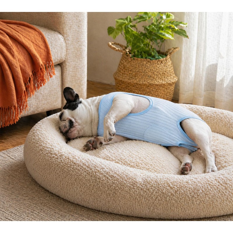 Paipeper French Bulldog Recovery Suit, Professional Dog Surgery Suit for