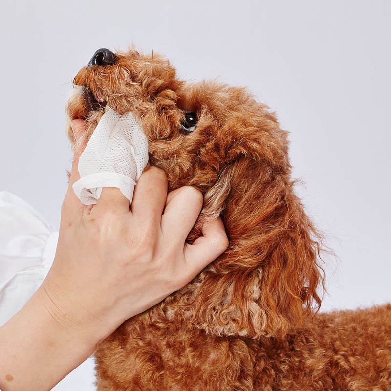 Petio 2 Pack for Dogs and Cats, Toothpaste, 30 Dental