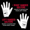 PXG Men's RH Players Glove G4-652021019RHSC-WHT Golf Glove, Right Hand,