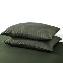 Ruccit Pillowcases 2 Pack Army Green Pillowcases Soft Brushed Microfiber Pillow Case Soft Green Pillow Cover with Envelope Closure,50x75cm