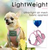 ThinkPet Reflective Breathable Soft Air Mesh No Pull Puppy Choke