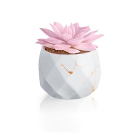 ZENIDA Artificial Succulent Plants in 1 White Ceramic Pots, Cute Fake Plants for Vanity Decor, Office, Desk, Bathroom, Kitchen, Bedroom, Shelves Decor for Women, Girls Gift