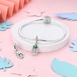 MULA 925 Sterling Silver Charms for Bracelets and Necklaces Airplane Passport Dangle Pendants Beads Butterfly Dragonfly Charms Jewelry for Women