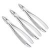 OdontoMed2011® Set Of 3 Dental Extracting Forceps #MD1 Dental Extraction