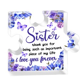Sister Gifts for Women Valentine's Birthday Day Presents from Big Girls Adult Sisters Brother Heartwarming Little Sister Ideas Desk Decor Puzzle Acrylic Palque