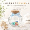 Baby Teeth Case, Baby Teeth Case, Kids, Boys, Girls, Teeth,