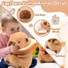 Capybara Plush, 2 Pcs Capybara Plush, Cuddly Toy with Toast