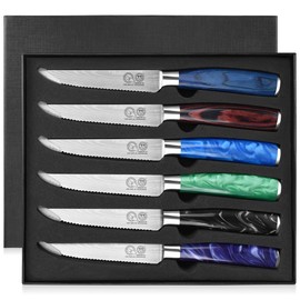 XYJ 6 Pcs 4.5-Inch Steak Knives Set-Includes 5 Steak Knives with Colorful Resin Handles and 1 Steak Knife with Wood Handle, All with Stainless Steel Serrated Blades, Packaged in a Black Tray Gift Box