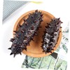 KICHOUSE 3pcs Lifelike Artificial Sea Cucumber Models Display Props Fun