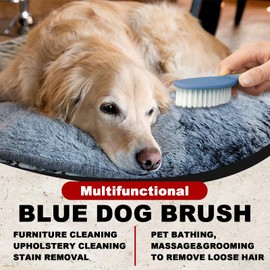 Blue Small Short Haire Dog Brush for Shedding 6.5in/16.5cm