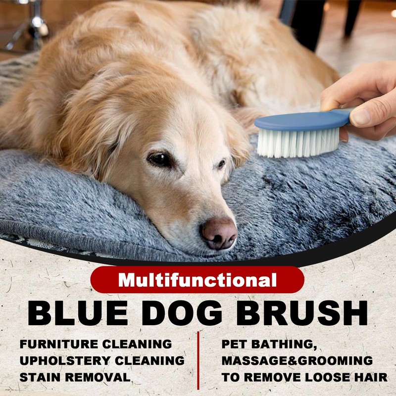 Blue Small Short Haire Dog Brush for Shedding 6.5in/16.5cm