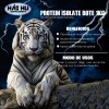 Proteína Whey Isolate Hái Hu 1kg 26servicios Varios Sabores Vainilla
